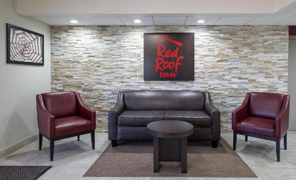 Red Roof Inn Tampa Bay - St. Petersburg image 12