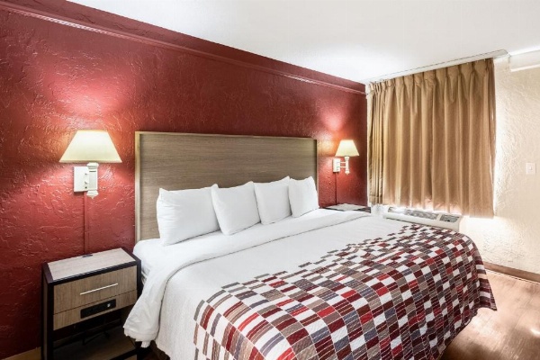 Red Roof Inn Tampa Bay - St. Petersburg image 17