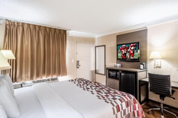 Red Roof Inn Tampa Bay - St. Petersburg image 19